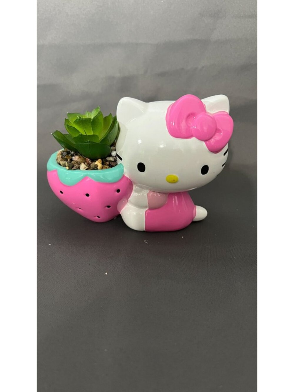 Hello Kitty Succulent Planter With Strawberry Design Ceramic Pot Cute Desk Or Ho